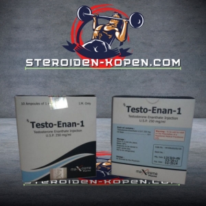 TESTO-ENAN AMP koop online in Nederland - steroiden-kopen.com