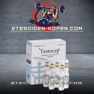 TESTOCYP koop online in Nederland - steroiden-kopen.com